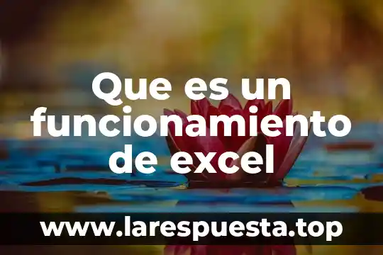 Que es un funcionamiento de excel