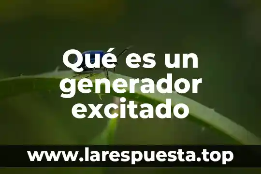 Que es un lider de generador de logros 5 Qué es un generador excitado