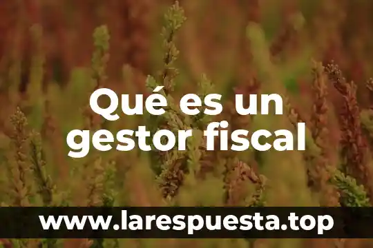 Qué es un gestor fiscal