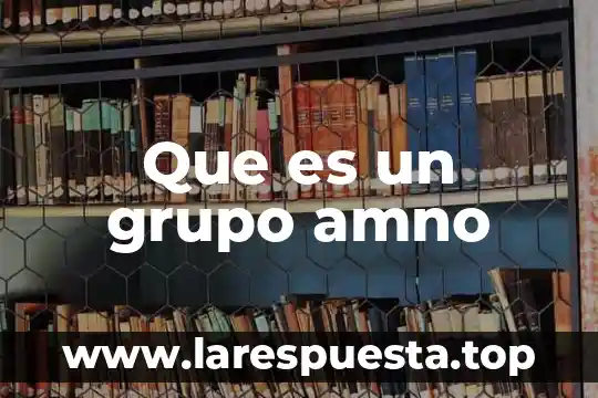 Que es grupo apro 3 Que es un grupo amno