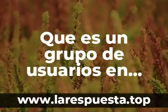 Qué es un grupo simple y compuesto 3 Que es un grupo de usuarios en windows server