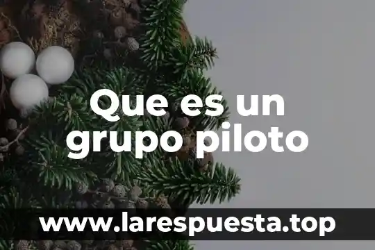 Qué es un grupo simple y compuesto 8 Que es un grupo piloto