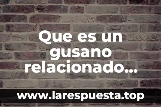Que es papiro en informatica 8 Que es un gusano relacionado con informatica