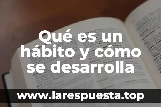 Que es habito yahoo 3 Qué es un hábito y cómo se desarrolla