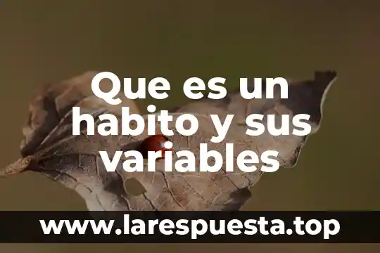 Que es habito yahoo 5 Que es un habito y sus variables