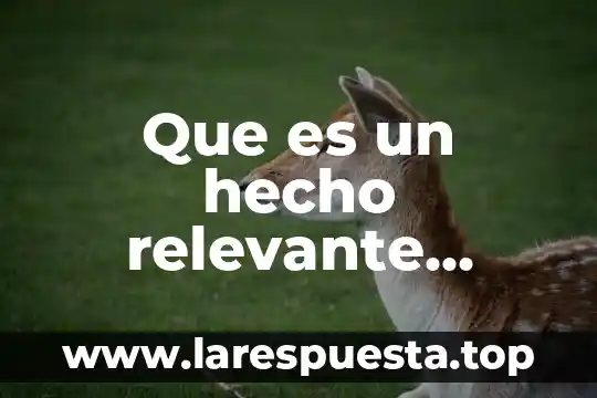 Que es un hecho relevante significado
