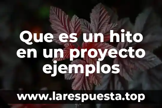 Que es un hito en un proyecto ejemplos