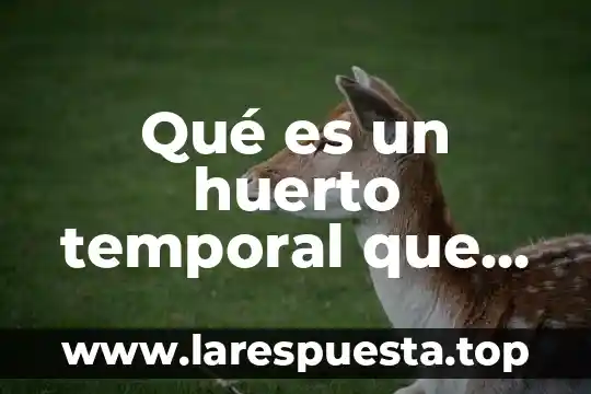 Qué es un huerto temporal que se planta