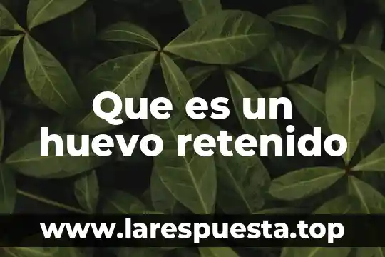 Qué es la membrana interna del huevo 5 Que es un huevo retenido