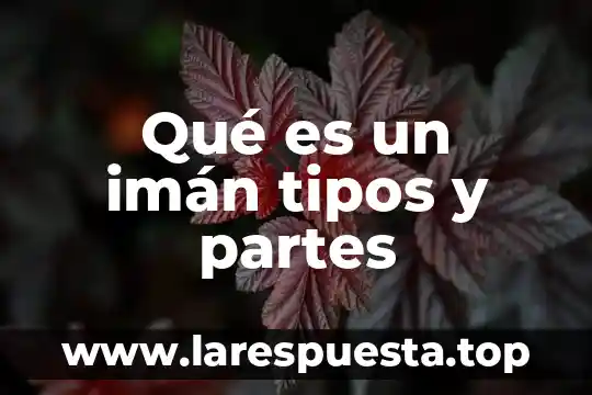 Que es una tabla estadistica y sus partes 5 Qué es un imán tipos y partes