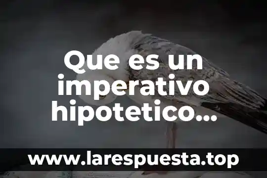 Que es un imperativo hipotetico ejemplos