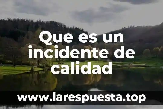 Que es la calidad japonesa 5 Que es un incidente de calidad