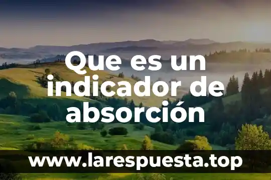Que es un indicador y como se clasifican 7 Que es un indicador de absorción