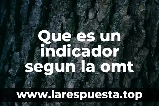 Que es un indicador y como se clasifican 3 Que es un indicador segun la omt