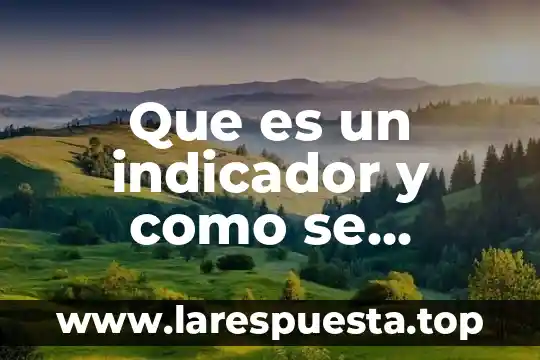 Que es un indicador ofd en ultrasonido 8 Que es un indicador y como se clasifican