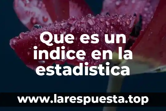 Que es un indice en la estadistica