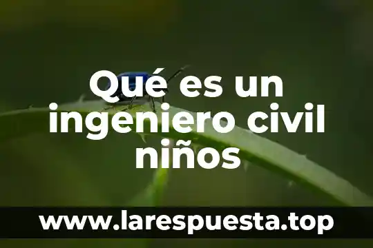 Qué es un ingeniero civil niños