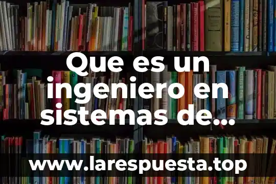 Que es un ingeniero en sistemas de informacion