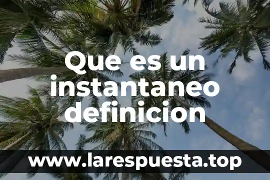 Que es un instantaneo definicion