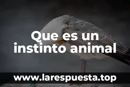 Que es un instinto animal