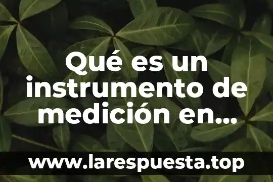 Que es un error de medicion calculo integral 8 Qué es un instrumento de medición en marketing