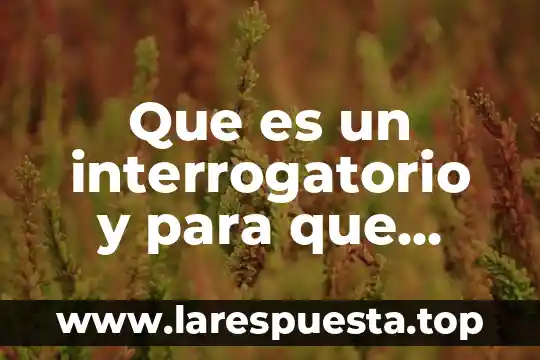 Que es un interrogatorio y para que sirve