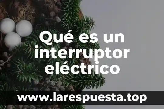 Qué es interruptor magnético y sus tipos 3 Qué es un interruptor eléctrico