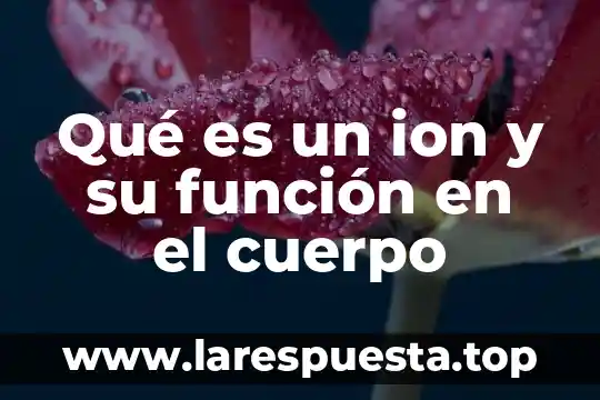 Qué es un ion y su función en el cuerpo