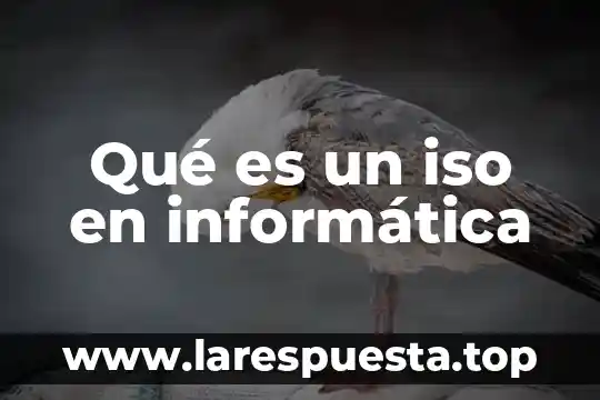 Que es papiro en informatica 3 Qué es un iso en informática