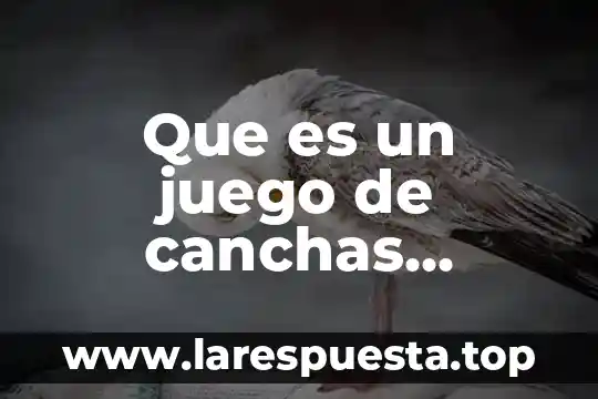 Que es un juego de canchas compartidas