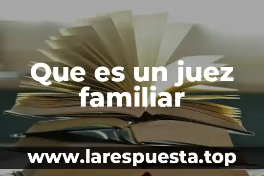 Que es un gasto familiar por rubro 8 Que es un juez familiar