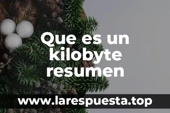 Que es un kilobyte resumen
