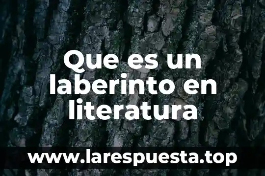 Que es un laberinto en literatura