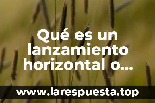 Que es un historiadores 3 Qué es un lanzamiento horizontal o tiro parabólico características