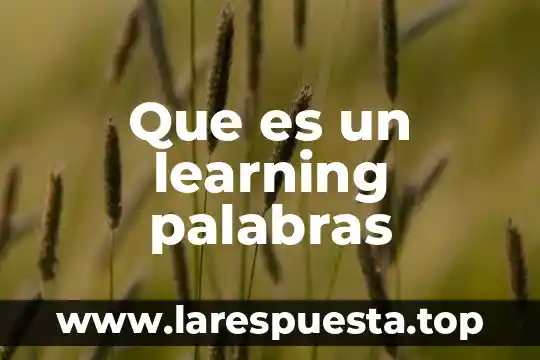 Que es la generalizacion de palabras 5 Que es un learning palabras