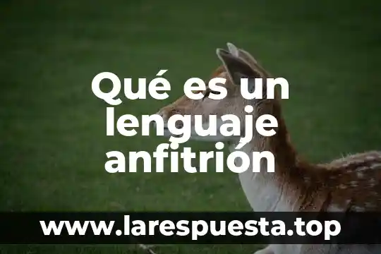 Que es el lenguaje fortran 8 Qué es un lenguaje anfitrión