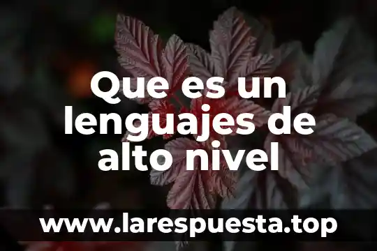 Que es un lenguajes de alto nivel