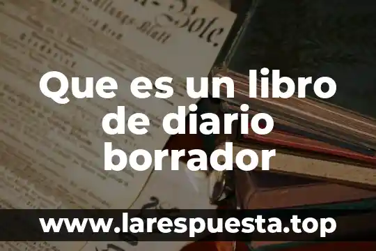 Que es un libro de diario borrador