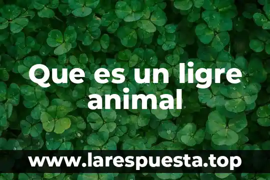 Que es un ligre animal