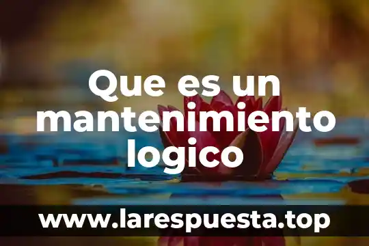 Que es un bloque logico informatica 8 Que es un mantenimiento logico