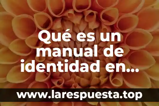 Qué es una composición de arte 5 Qué es un manual de identidad en una página web