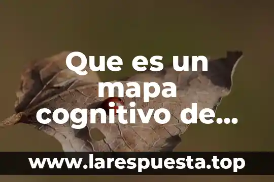 Qué es un proceso cognitivo que permite a las personas 4 Que es un mapa cognitivo de caja