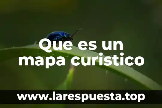 Que es lo que se maneja en un mapa mental 6 Que es un mapa curistico