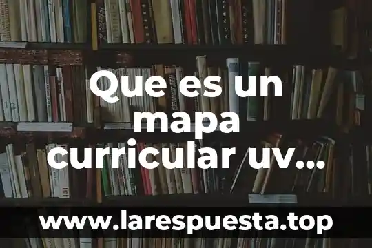 Que es un mapa cocneptual 6 Que es un mapa curricular uv contaduria
