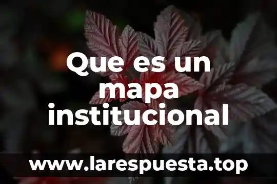 Que es evaluacion institucional y por niveles 3 Que es un mapa institucional