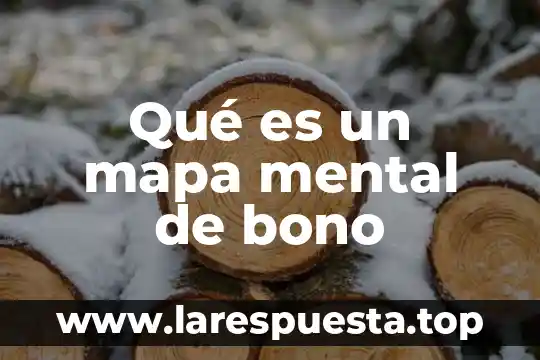 Qué es un mapa mental de bono