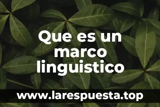 Qué es el marco fenomenológico 6 Que es un marco linguistico