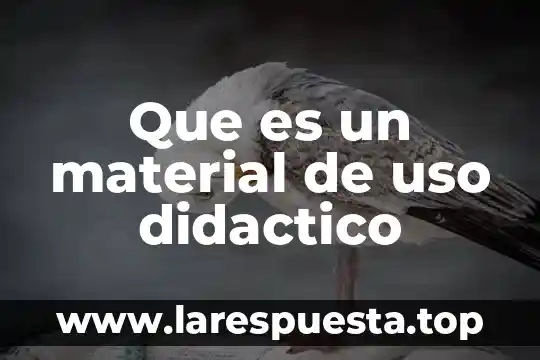 Que es el valor del uso 4 Que es un material de uso didactico