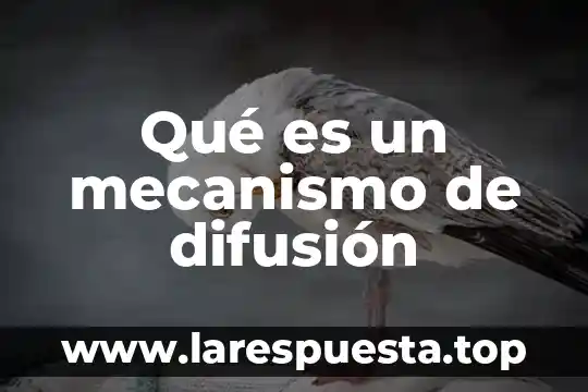 Difusión física que es 5 Qué es un mecanismo de difusión