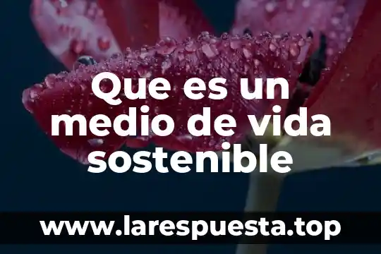 Qué es el medio ambiente biofísico 8 Que es un medio de vida sostenible
